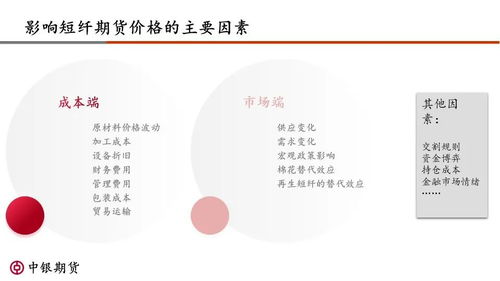 郑商所短纤期货品种视频讲座资料