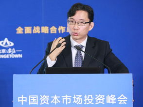 徐高 资本追逐暴利过程中完成对投资筛选