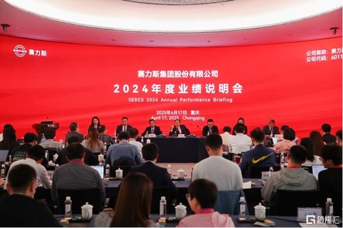赛力斯 601127.sh 举办2024年度业绩说明会 技术创新驱动高质量发展