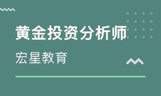 上海闵行区黄金投资分析师培训班哪家好 黄金投资分析师培训班哪家好 黄金投资分析师培训课程排名 淘学培训