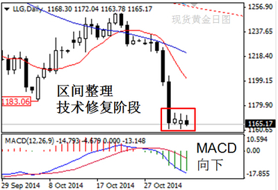 英伦金业:11月4日国际现货黄金投资技巧策略_机构论金_黄金网_中金在线